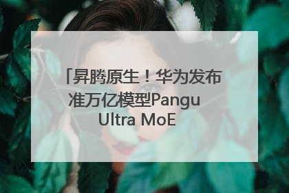 昇腾原生！华为发布准万亿模型Pangu Ultra MoE模型架构和训练细节