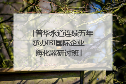普华永道连续五年承办IBI国际企业孵化器研讨班
