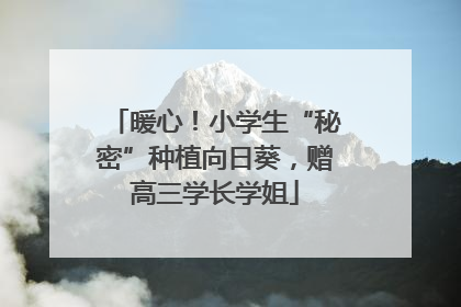 暖心！小学生“秘密”种植向日葵，赠高三学长学姐