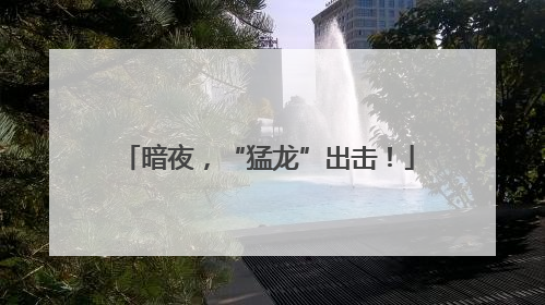 暗夜，“猛龙”出击！