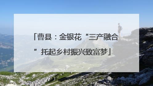 曹县：金银花“三产融合”托起乡村振兴致富梦