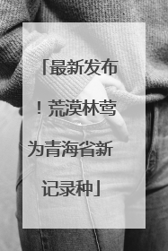 最新发布！荒漠林莺为青海省新记录种