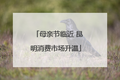 母亲节临近 昆明消费市场升温