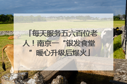 每天服务五六百位老人！南京一“银发食堂”暖心升级后爆火