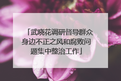 武晓花调研督导群众身边不正之风和腐败问题集中整治工作