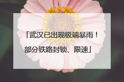 武汉已出现极端暴雨！部分铁路封锁、限速