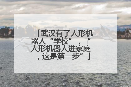 武汉有了人形机器人“学校”，“人形机器人进家庭，这是第一步”