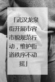 武汉龙泉街开展市容市貌规范行动，维护街道秩序不动摇