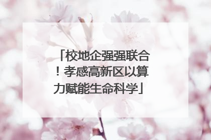 校地企强强联合！孝感高新区以算力赋能生命科学