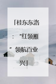桂东东洛：“红领雁”领航百业兴