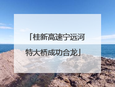 桂新高速宁远河特大桥成功合龙