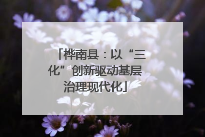 桦南县：以“三化”创新驱动基层治理现代化