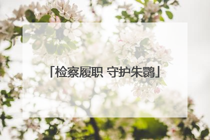 检察履职 守护朱鹮