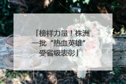 榜样力量！株洲一批“热血英雄”受省级表彰
