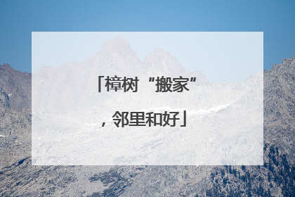 樟树“搬家”，邻里和好