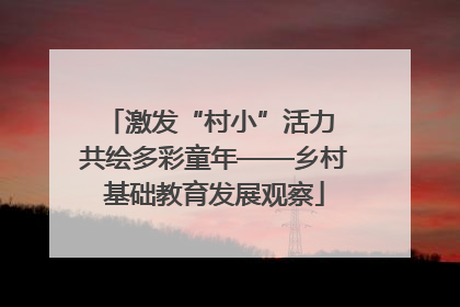 激发“村小”活力 共绘多彩童年——乡村基础教育发展观察