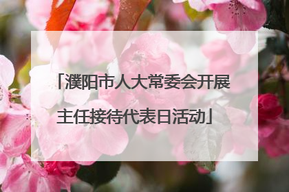 濮阳市人大常委会开展主任接待代表日活动