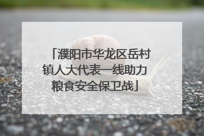 濮阳市华龙区岳村镇人大代表一线助力粮食安全保卫战