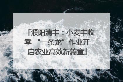 濮阳清丰：小麦丰收季 “一条龙”作业开启农业高效新篇章