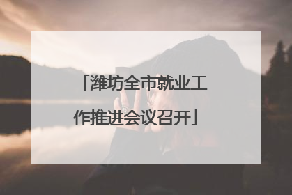 潍坊全市就业工作推进会议召开