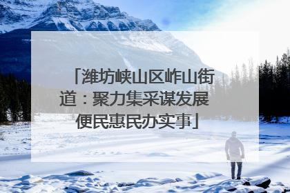 潍坊峡山区岞山街道：聚力集采谋发展 便民惠民办实事