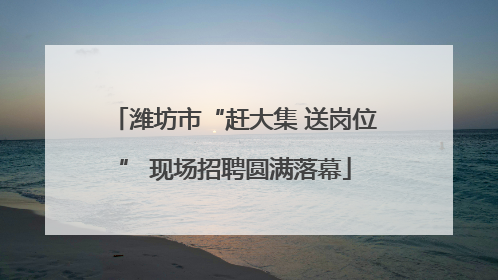潍坊市“赶大集 送岗位” 现场招聘圆满落幕
