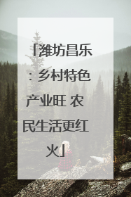 潍坊昌乐：乡村特色产业旺 农民生活更红火