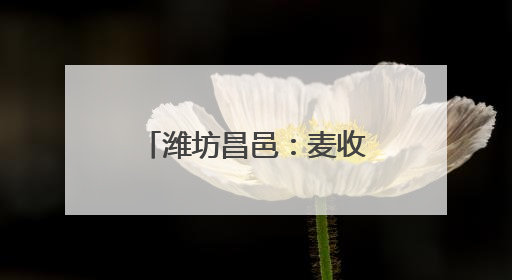 潍坊昌邑：麦收新事 尽显丰收