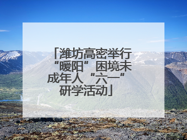 潍坊高密举行“暖阳”困境未成年人“六一”研学活动