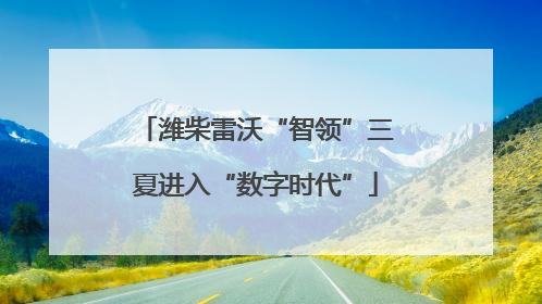 潍柴雷沃“智领”三夏进入“数字时代”