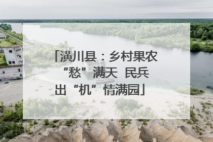 潢川县：乡村果农“愁”满天  民兵出“机”情满园
