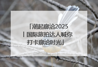 潮起廊洽2025丨国际旅拍达人喊你打卡廊洽时光