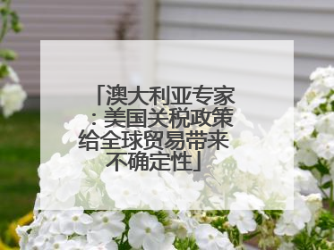 澳大利亚专家：美国关税政策给全球贸易带来不确定性