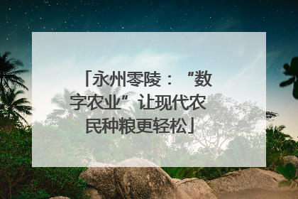永州零陵：“数字农业”让现代农民种粮更轻松