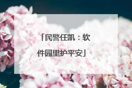 民警任凯：软件园里护平安
