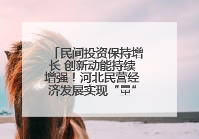 民间投资保持增长 创新动能持续增强！河北民营经济发展实现“量”“质”双提升