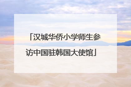 汉城华侨小学师生参访中国驻韩国大使馆