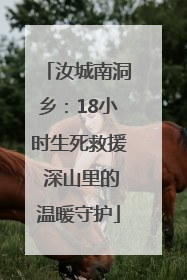 汝城南洞乡：18小时生死救援 深山里的温暖守护
