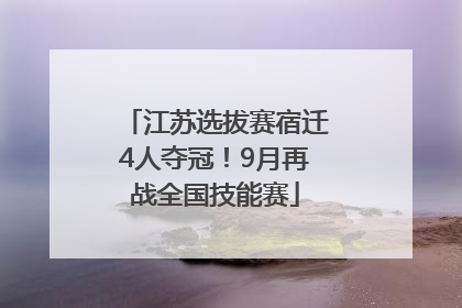 江苏选拔赛宿迁4人夺冠！9月再战全国技能赛