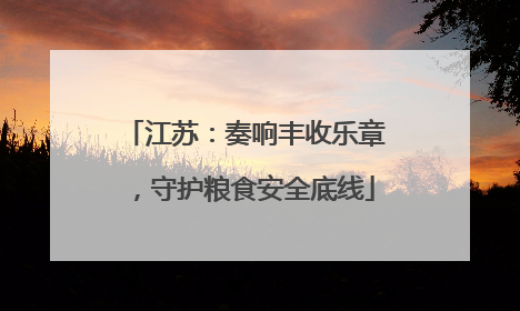 江苏：奏响丰收乐章，守护粮食安全底线