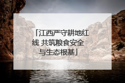 江西严守耕地红线 共筑粮食安全与生态根基