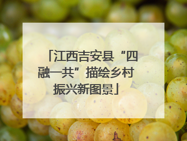 江西吉安县“四融一共”描绘乡村振兴新图景