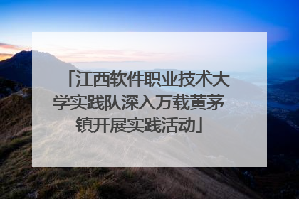 江西软件职业技术大学实践队深入万载黄茅镇开展实践活动