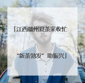 江西赣州夏茶采收忙 “新茶勃发”助振兴