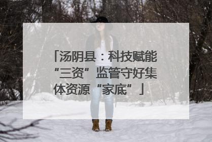 汤阴县：科技赋能“三资”监管守好集体资源“家底”