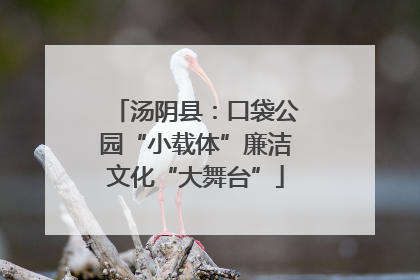 汤阴县：口袋公园“小载体”廉洁文化“大舞台”