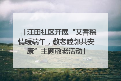 汪田社区开展“艾香粽情暖端午，敬老睦邻共安康”主题敬老活动