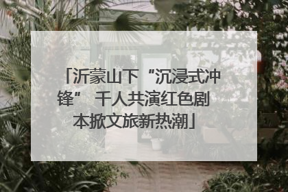 沂蒙山下“沉浸式冲锋” 千人共演红色剧本掀文旅新热潮