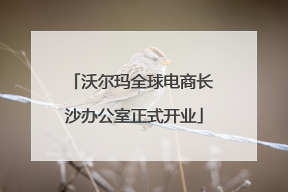 沃尔玛全球电商长沙办公室正式开业