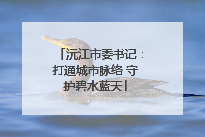 沅江市委书记：打通城市脉络 守护碧水蓝天